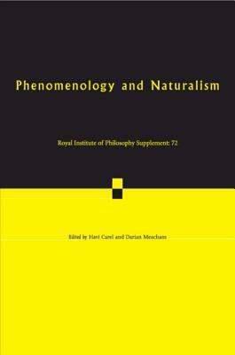 Phenomenology and Naturalism: Examining the Relationship Between Human Experience and Nature by Darian Meacham, Havi Carel