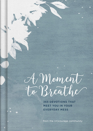 A Moment to Breathe: 365 Devotions that Meet You in Your Everyday Mess by Denise J. Hughes