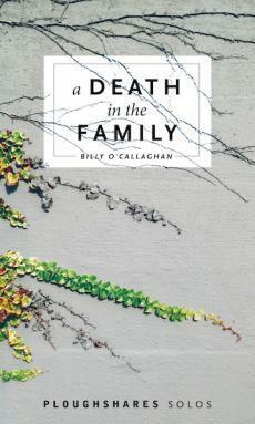 A Death in the Family (Ploughshares Solos) by Billy O'Callaghan