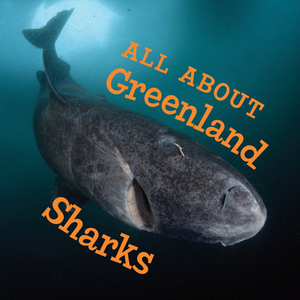 All about Greenland Sharks: English Edition by Jordan Hoffman