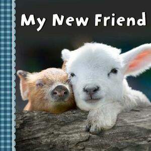 My New Friend by Sterling Children's