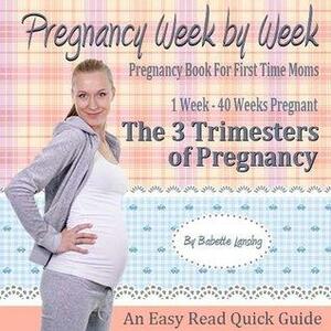 Pregnancy Books For First Time Moms: The 3 Trimesters Book by Babette Lansing