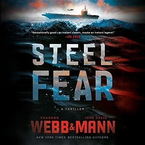 Steel Fear by John David Mann, Brandon Webb