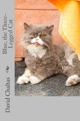 Blue, the Three Legged Cat by David Chaltas