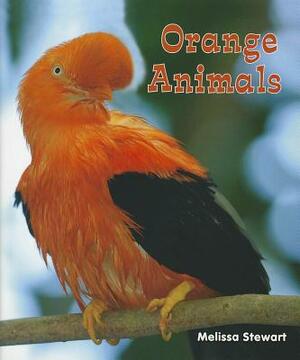 Orange Animals by Melissa Stewart