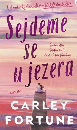 Sejdeme se u jezera by Carley Fortune