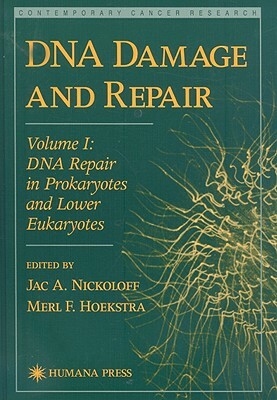 DNA Damage and Repair: Volume I: DNA Repair in Prokaryotes and Lower Eukaryotes by 