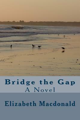 Bridge the Gap by Elizabeth MacDonald