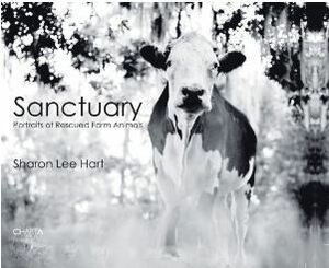 Sanctuary: Portraits of Rescued Farm Animals by Kathy Stevens, Sharon Lee Hart, Gene Baur, Jeffrey Moussaieff Masson, Karen Davis
