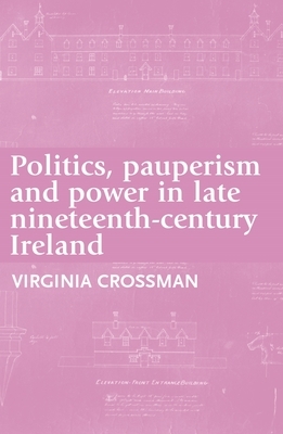 Politics, Pauperism and Power in Late Nineteenth-Century Ireland by Virginia Crossman