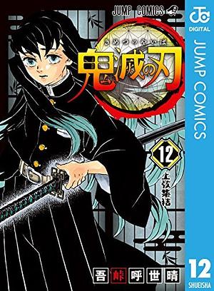 Demon Slayer: Kimetsu no Yaiba, Vol. 12 by Koyoharu Gotouge