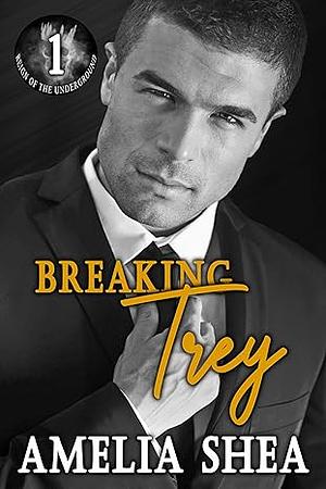 Breaking Trey by Amelia Shea