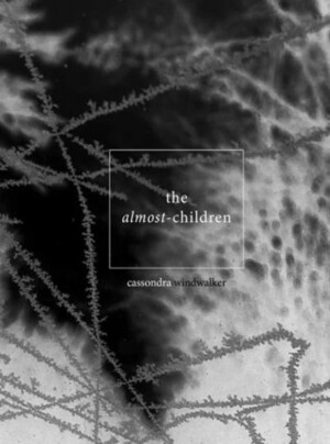 The Almost-Children by Cassondra Windwalker