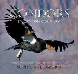 Condors in Canyon Country: The Return of the California Condor to the Grand Canyon Region by Sophie A.H. Osborn