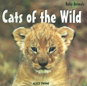 Cats of the Wild by Alice Twine