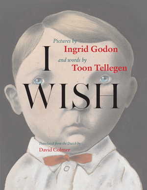 I Wish by Ingrid Godon, David Colmer, Toon Tellegen