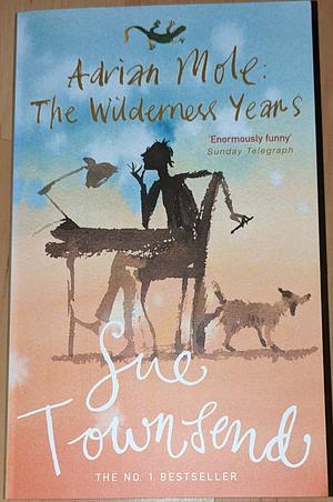 Adrian Mole: The Wilderness Years by Sue Townsend