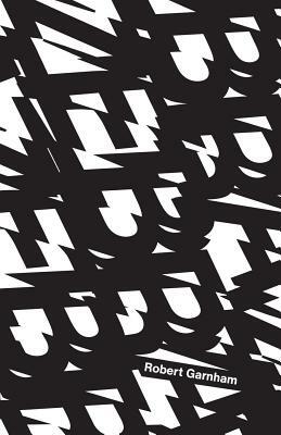 Zebra by Robert Garnham