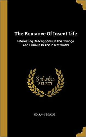 The Romance Of Insect Life: Interesting Descriptions Of The Strange And Curious In The Insect World by Edmund Selous