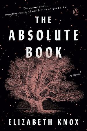 The Absolute Book by Elizabeth Knox