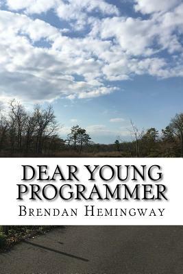Dear Young Programmer: Things I Wish You Knew by Brendan Hemingway