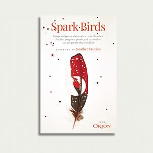 Spark Birds by Jonathan Frazen