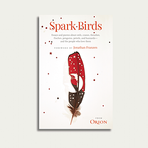 Spark Birds by Jonathan Franzen