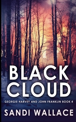 Black Cloud (Georgie Harvey and John Franklin Book 4) by Sandi Wallace