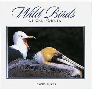 Wild Birds of California by David Lukas