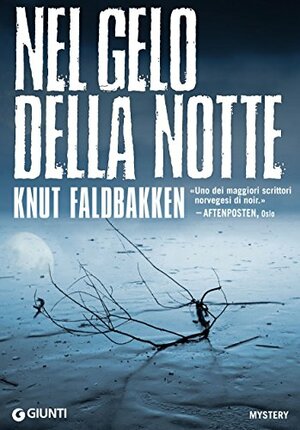 Nel gelo della notte (Jonfinn Valmann #3) by Knut Faldbakken