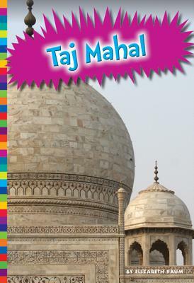 Taj Mahal by Elizabeth Raum