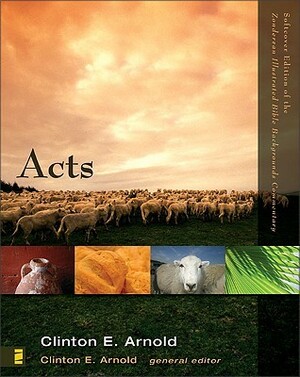 Acts: Volume 2B by Clinton E. Arnold