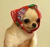 mjess's profile picture