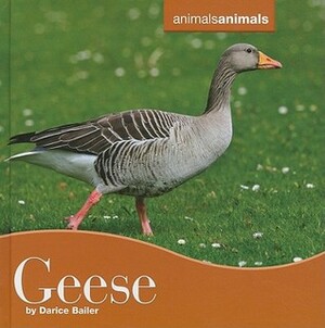 Geese by Darice Bailer