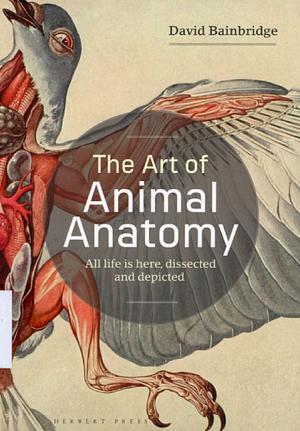 The Art of Animal Anatomy: All life is here, dissected and depicted by David Bainbridge
