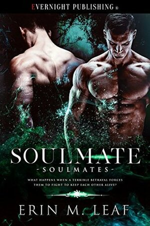 Soulmate by Erin M. Leaf