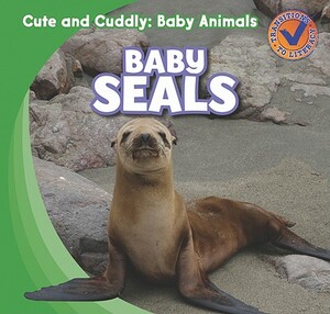 Baby Seals by Katie Kawa