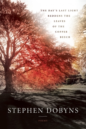 The Day's Last Light Reddens the Leaves of the Copper Beech by Stephen Dobyns