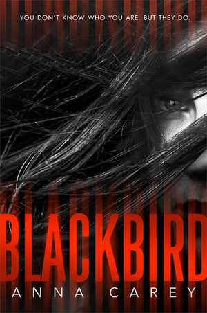 Blackbird by Anna Carey