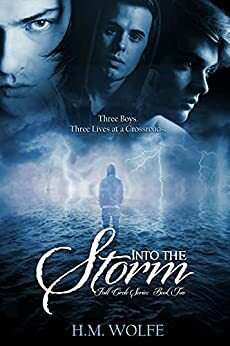 Into The Storm: Full Circle by H.M. Wolfe