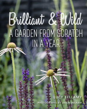 BrilliantWild: A Garden from Scratch in a Year by Lucy Bellamy, Jason Ingram