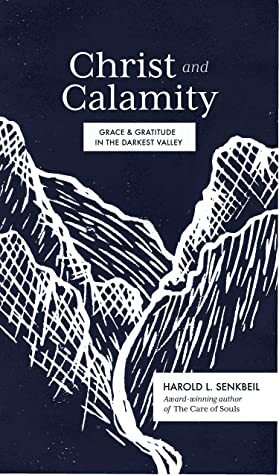 Christ and Calamity: Grace and Gratitude in the Darkest Valley by Harold L. Senkbeil