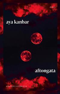 Aftongata by Aya Kanbar