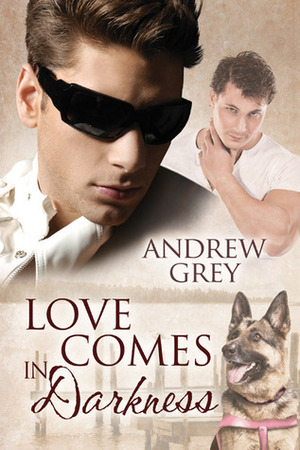 Love Comes in Darkness by Andrew Grey