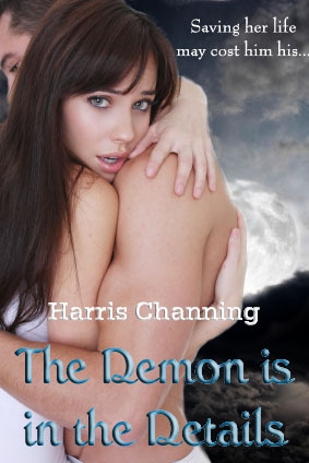 The Demon Is In The Details by Harris Channing