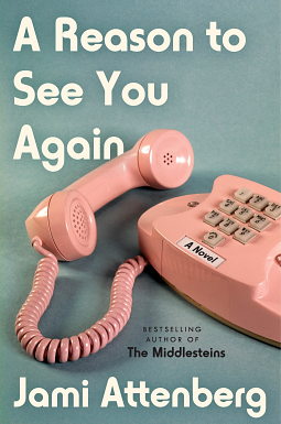 A Reason to See You Again: A Novel by Jami Attenberg