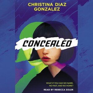 Concealed by Christina Diaz Gonzalez