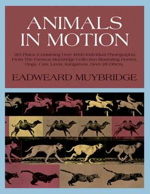 Animals in Motion by Eadweard Muybridge