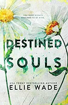 Destined Souls by Ellie Wade, Ellie Wade