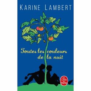 Toutes les couleurs de la nuit by Karine Lambert